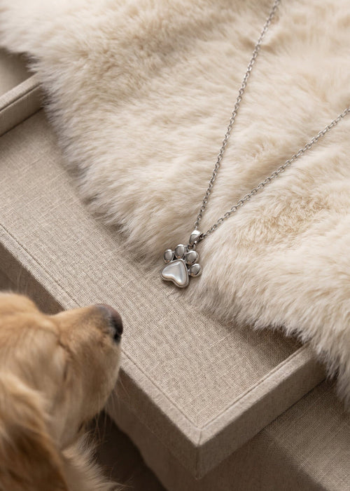 ETERNAL Paw Necklace
